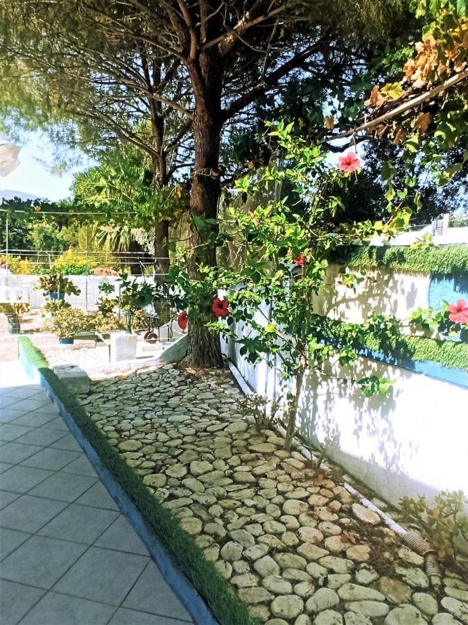 Villa Dina Chania  Luaran gambar