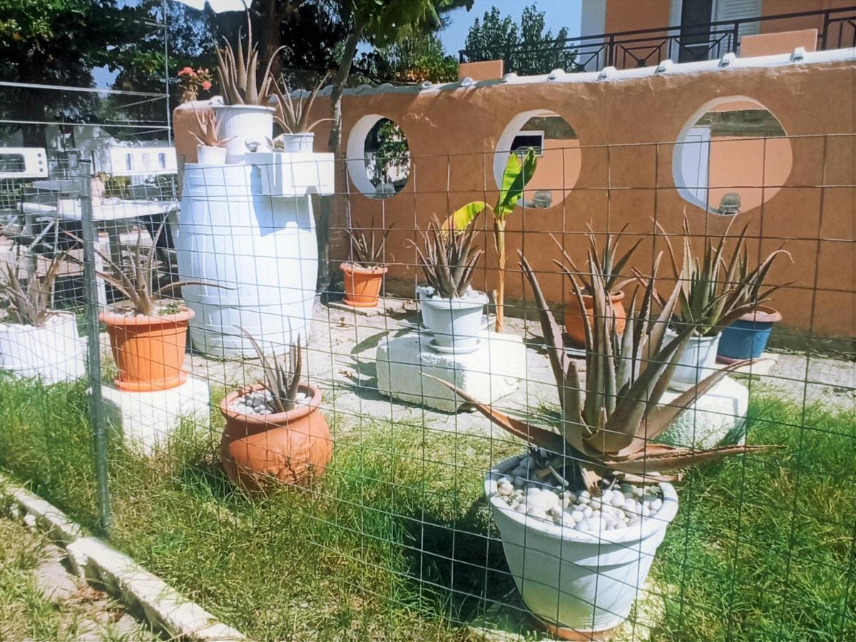 Villa Dina Chania  Luaran gambar